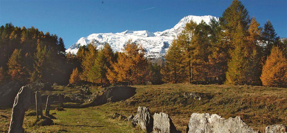 Cgh Residences & Spas Le Ruitor Aparthotel Sainte-Foy-Tarentaise